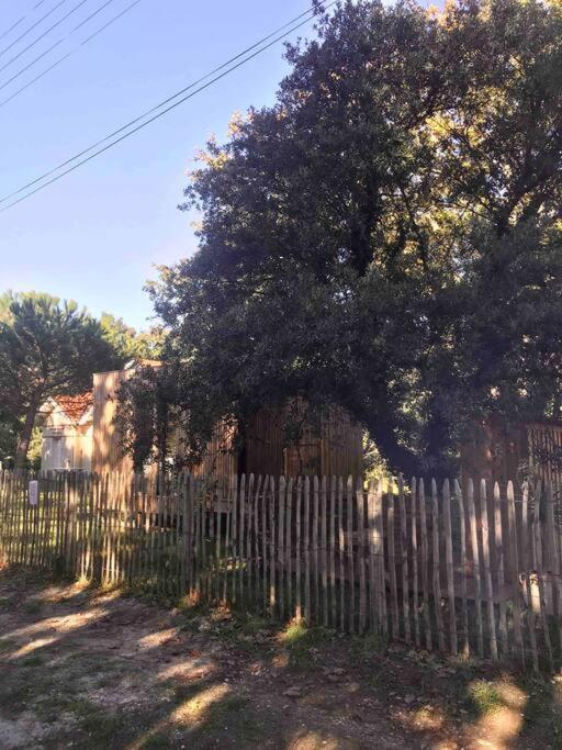 Ma Cabane Sous Les Arbres Soulac-sur-Mer Zewnętrze zdjęcie