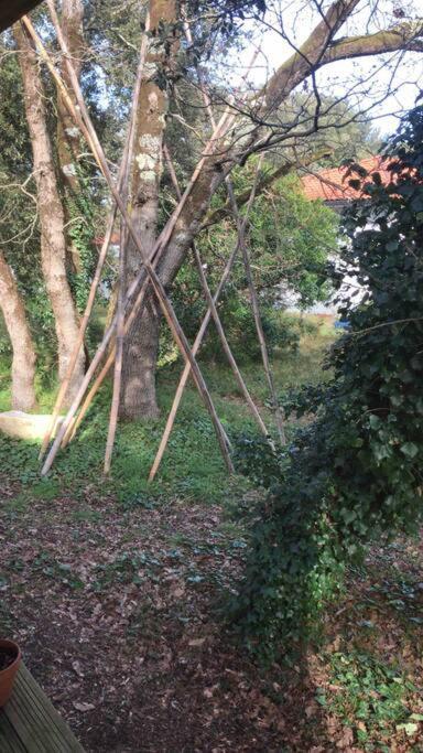 Ma Cabane Sous Les Arbres Soulac-sur-Mer Zewnętrze zdjęcie